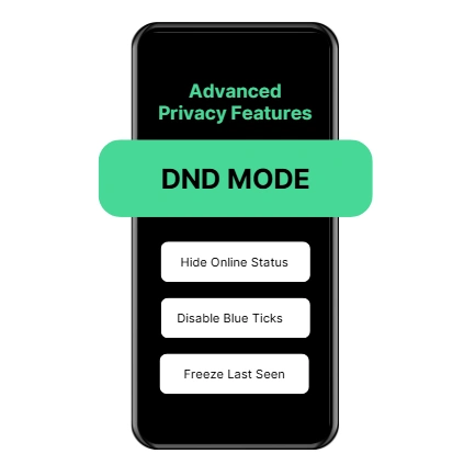Customization Options